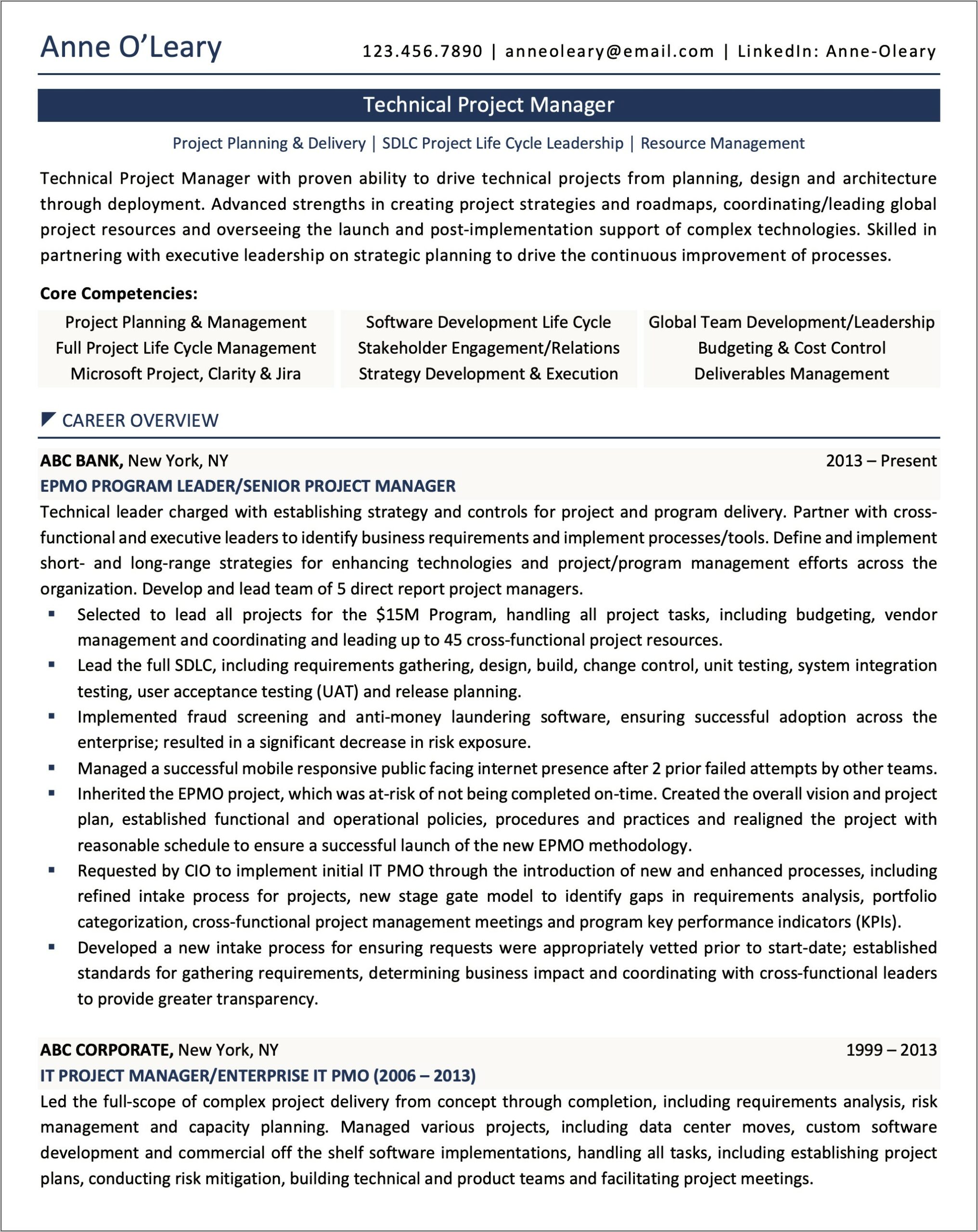 Professional Profile Resume Examples Program Manager