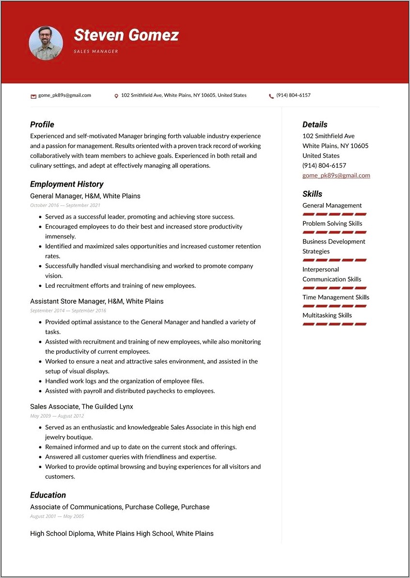 Professional Resume Examples For Management Position