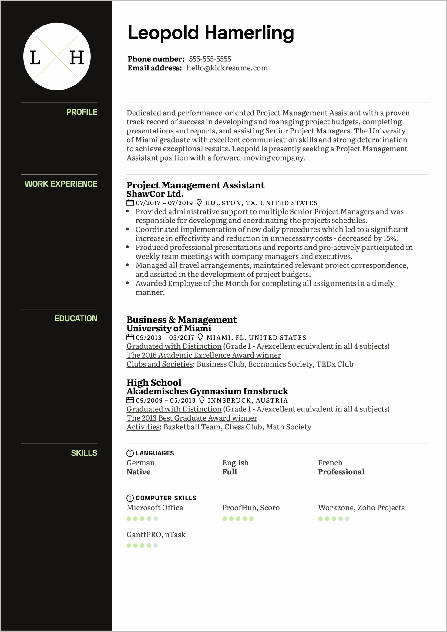 Professional Resume Examples For Management