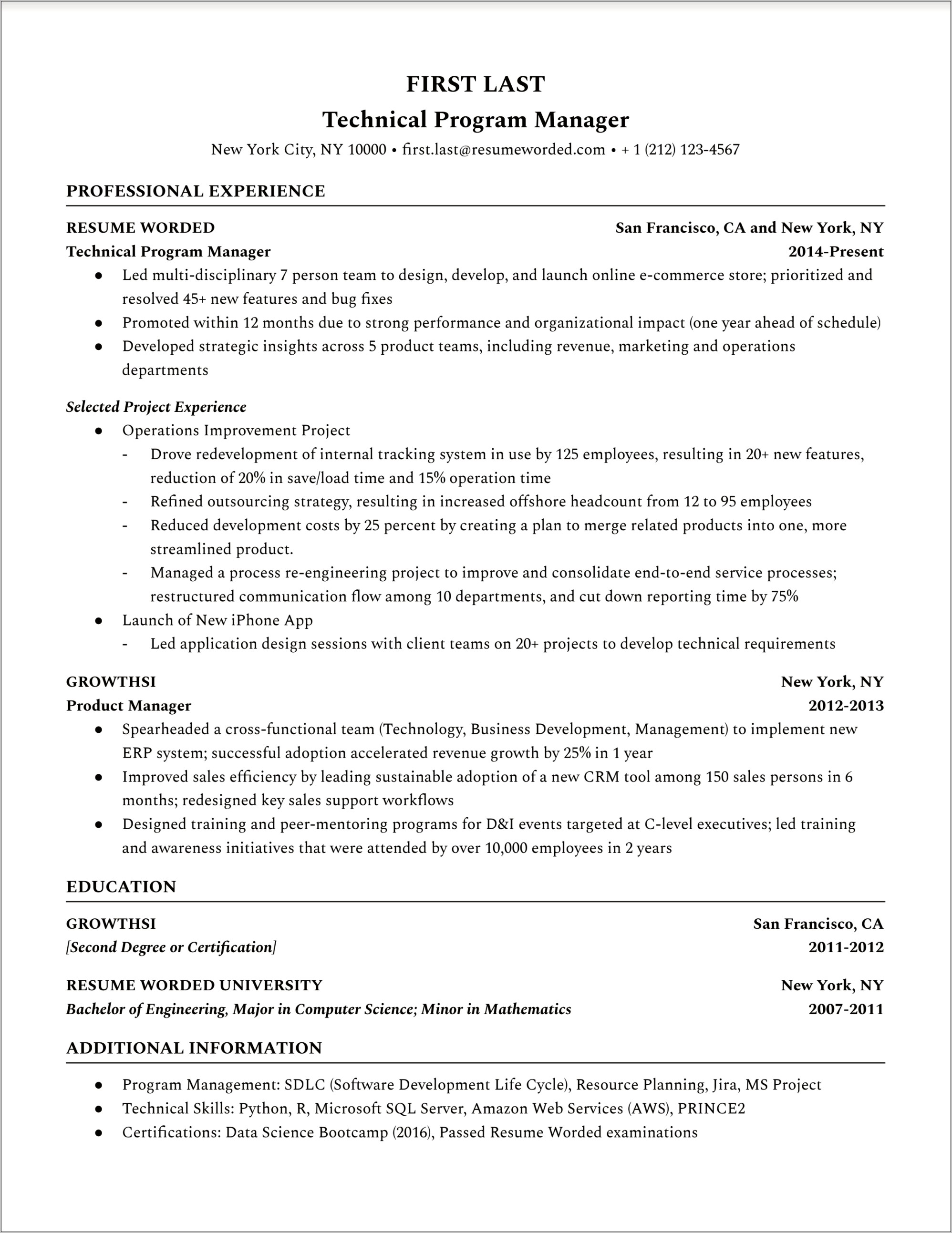 Professional Resume For A Program Manager