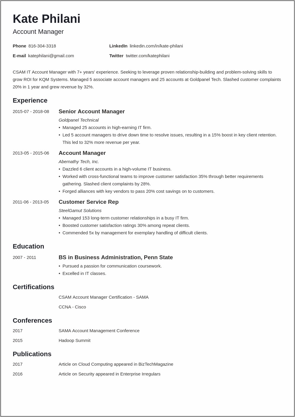 Professional Resume Summary Examples For Account Manager