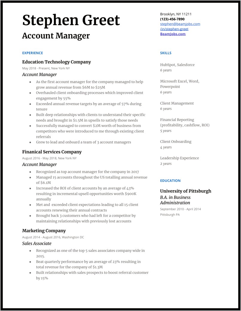 Professional Resume Template For Sales And Management