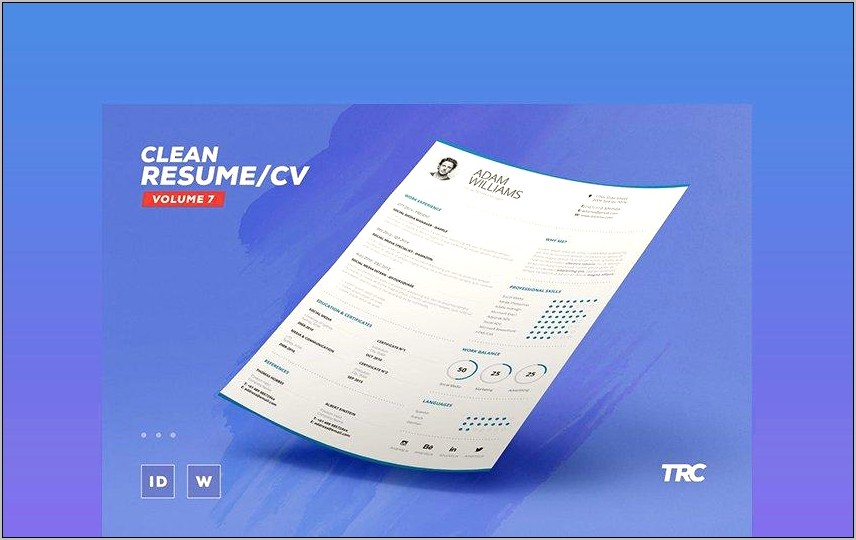 Professional Resume Template For Word 2010