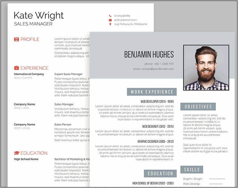 Professional Resume Template In Word 2007