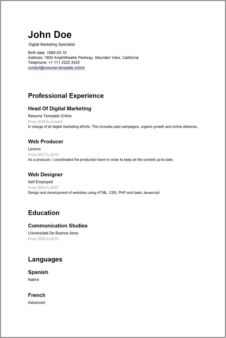 Professional Resume Template Microsoft Word 2010