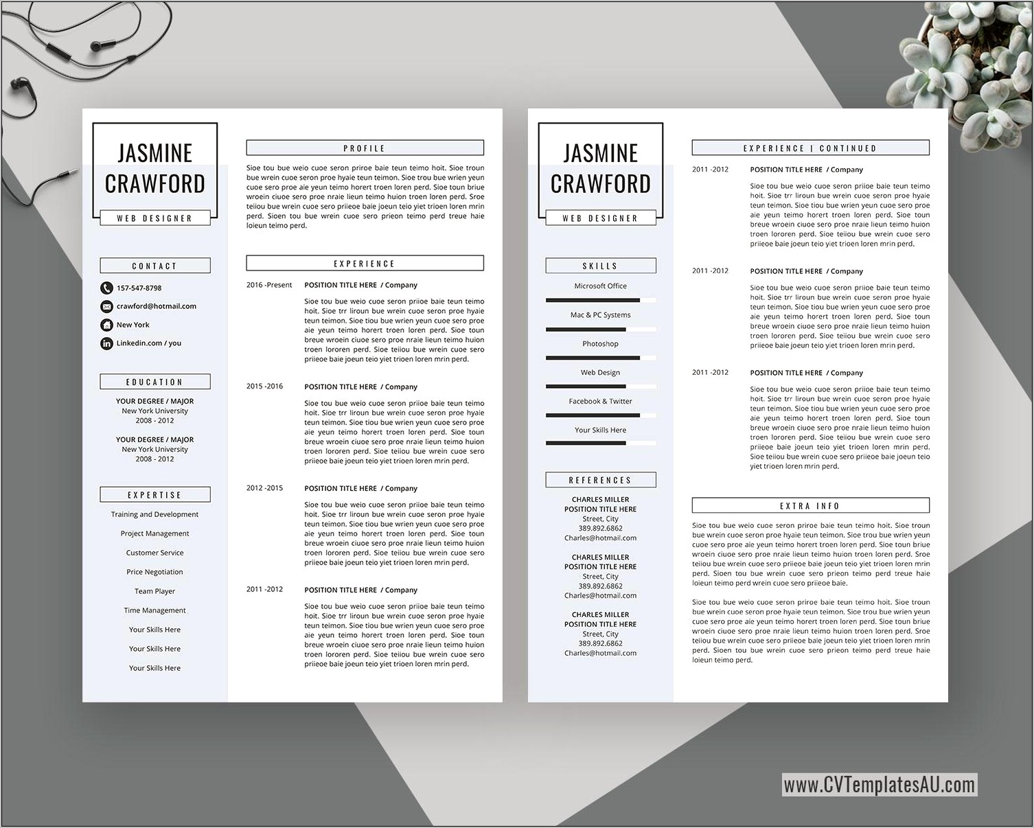 Professional Resume Template Microsoft Word Download