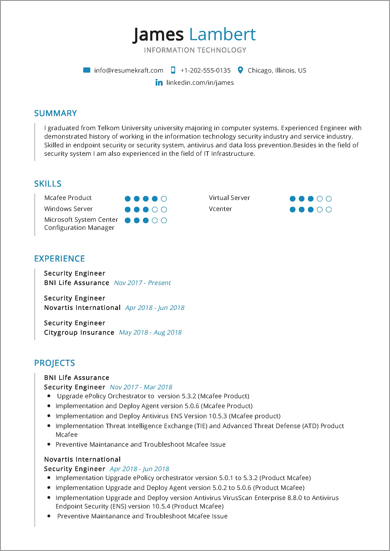 Professional Resume Templates Information Technology 2018