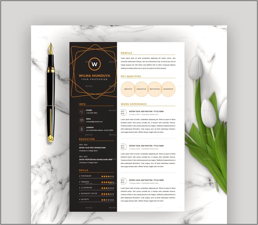 Professional Resume Templates With Photo Free Download