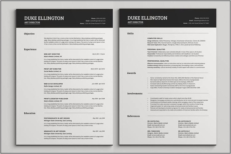 Professional Resume Two Page Template Free