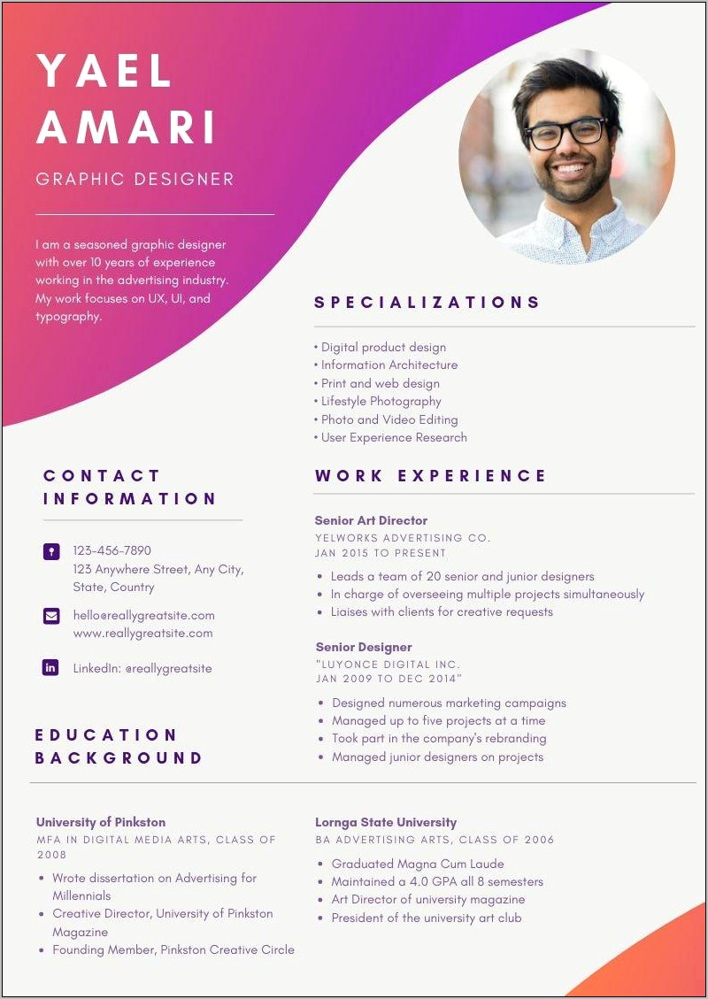 Professional Resume With 20 Years Experience In Painting