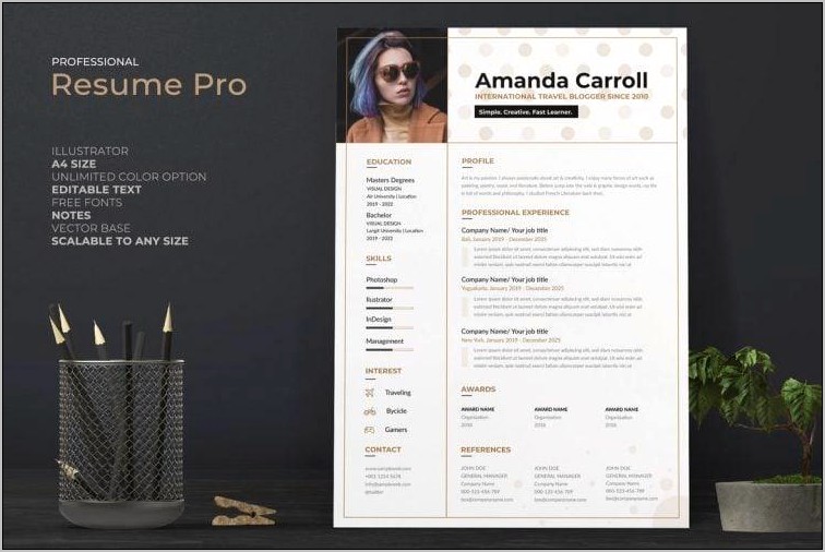 Professional Resumes With Color Ideas On Word
