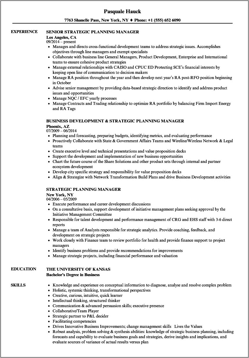 Professional Summary Examples For Resume Strategic Planning