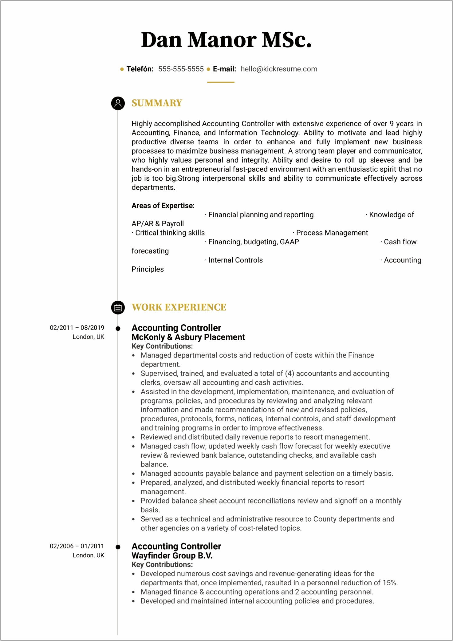 Professional Summary For Financial Controllership Manager Resume