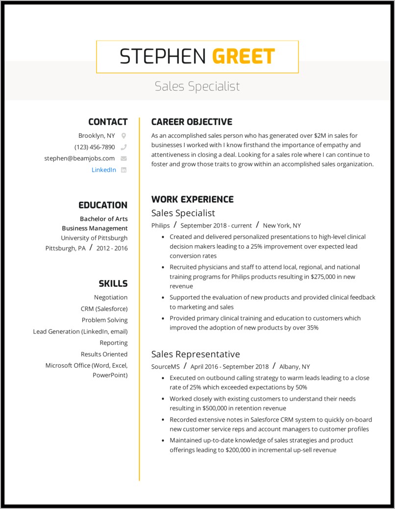 Professional Summary On Resume For Sales