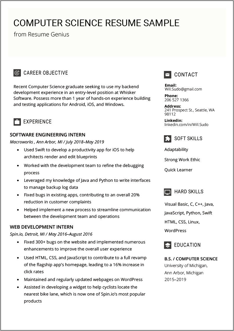 Professional Summary On Resume For Student