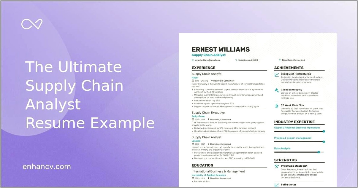 Professional Summary On Resume Supply Chain