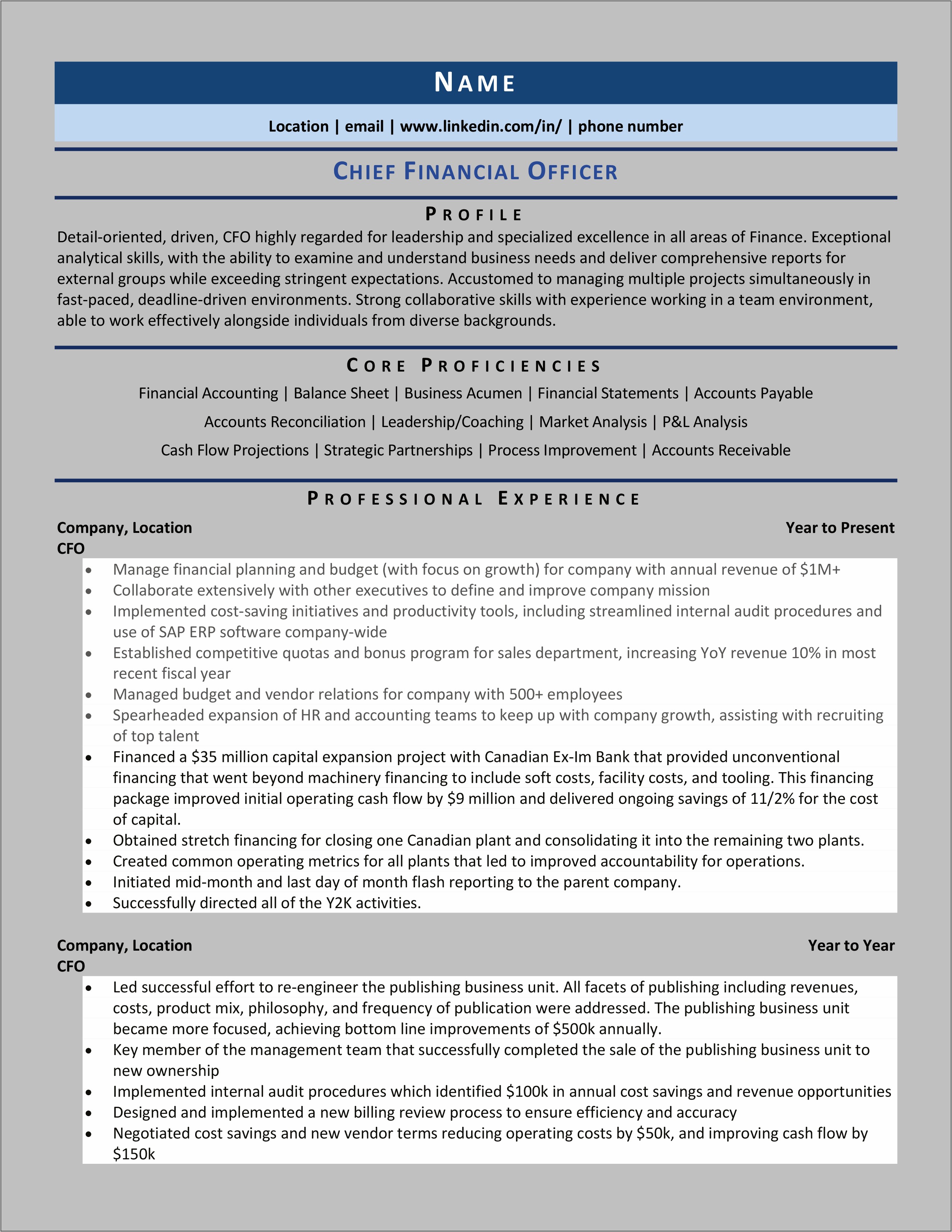 Professional Summary Resume Example For Financial Officer
