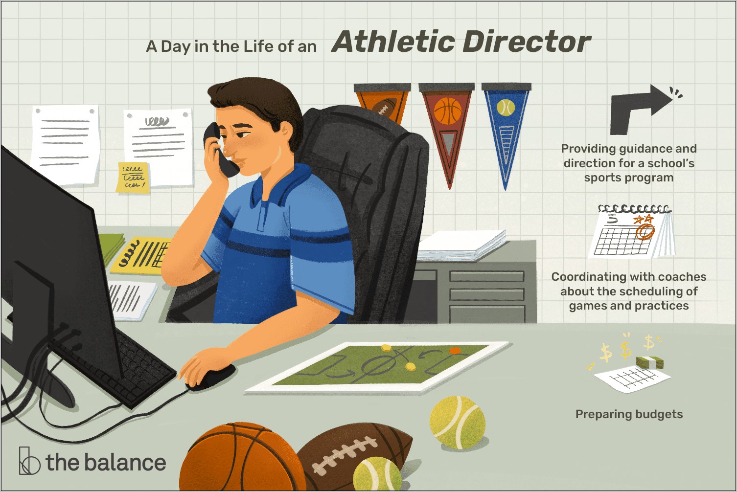 Professional Summary Resume Sports Director Sample