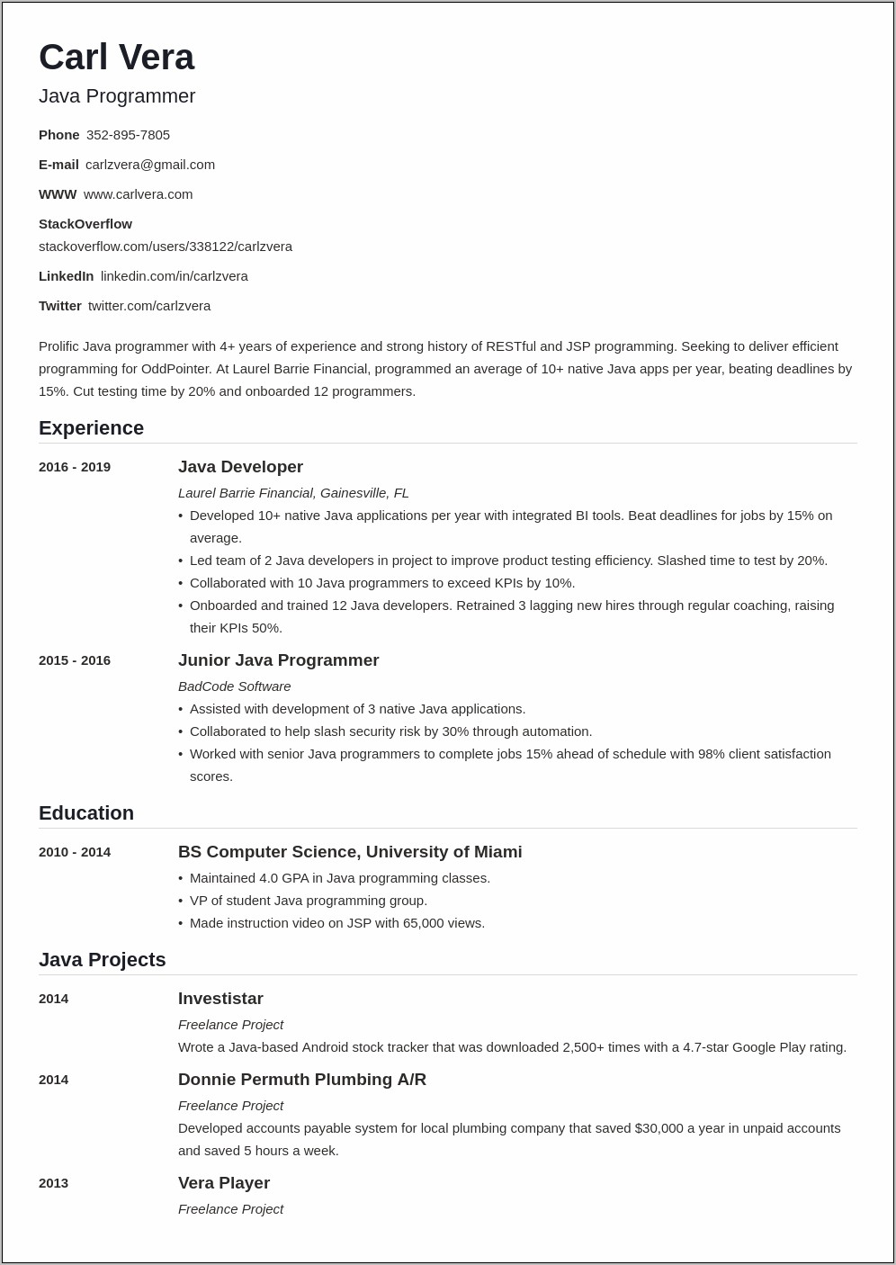 Programmer And Coding On Resume Example