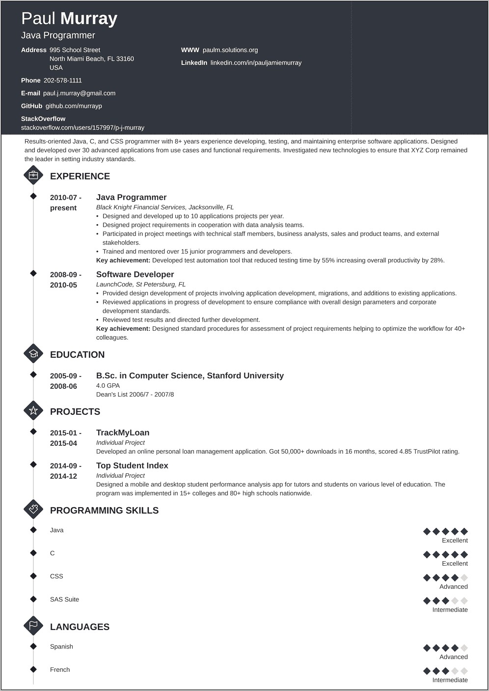 Programmer Resume Template Word Free Download