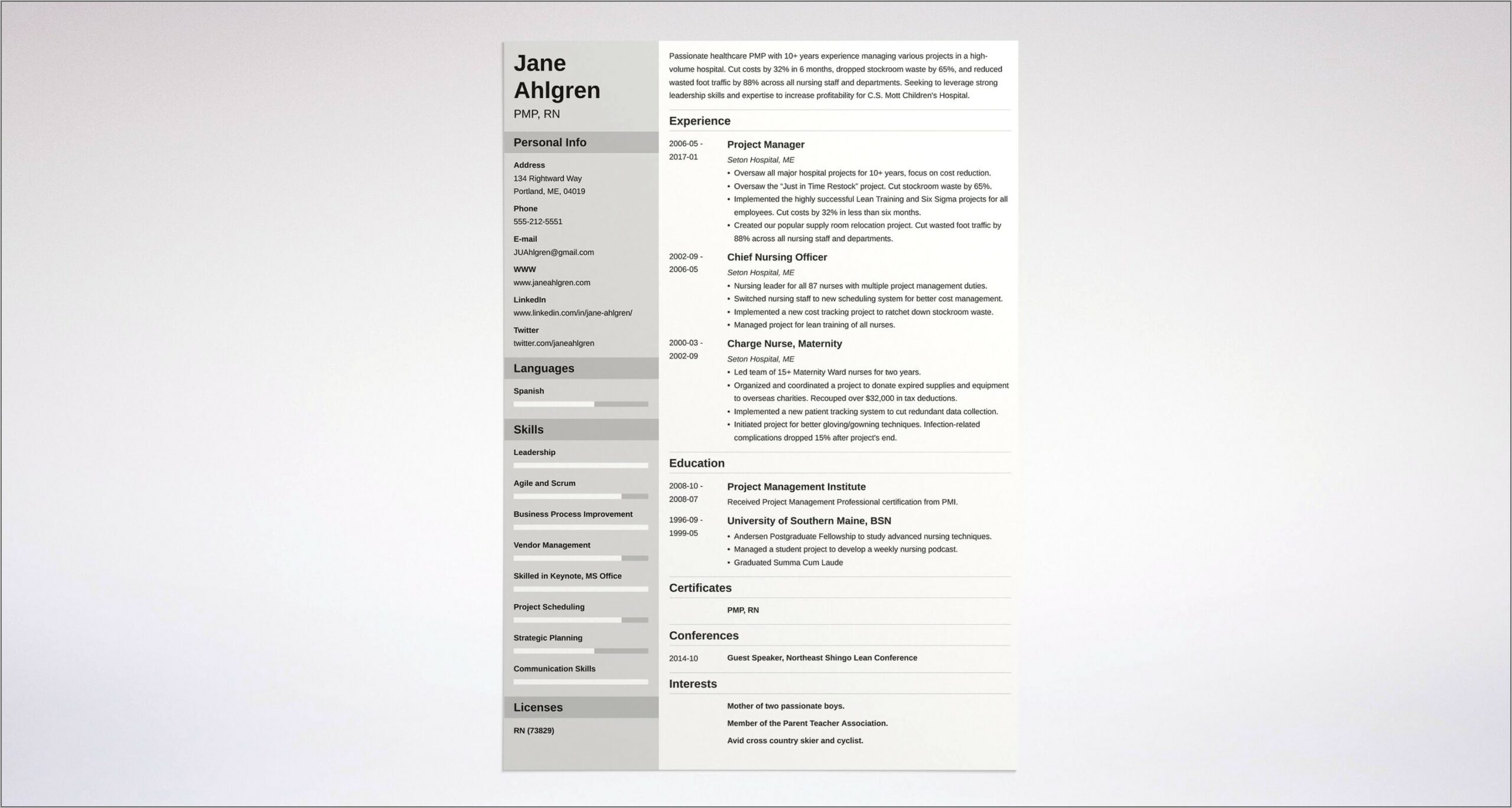 Project Manager Resume Sample Free Download