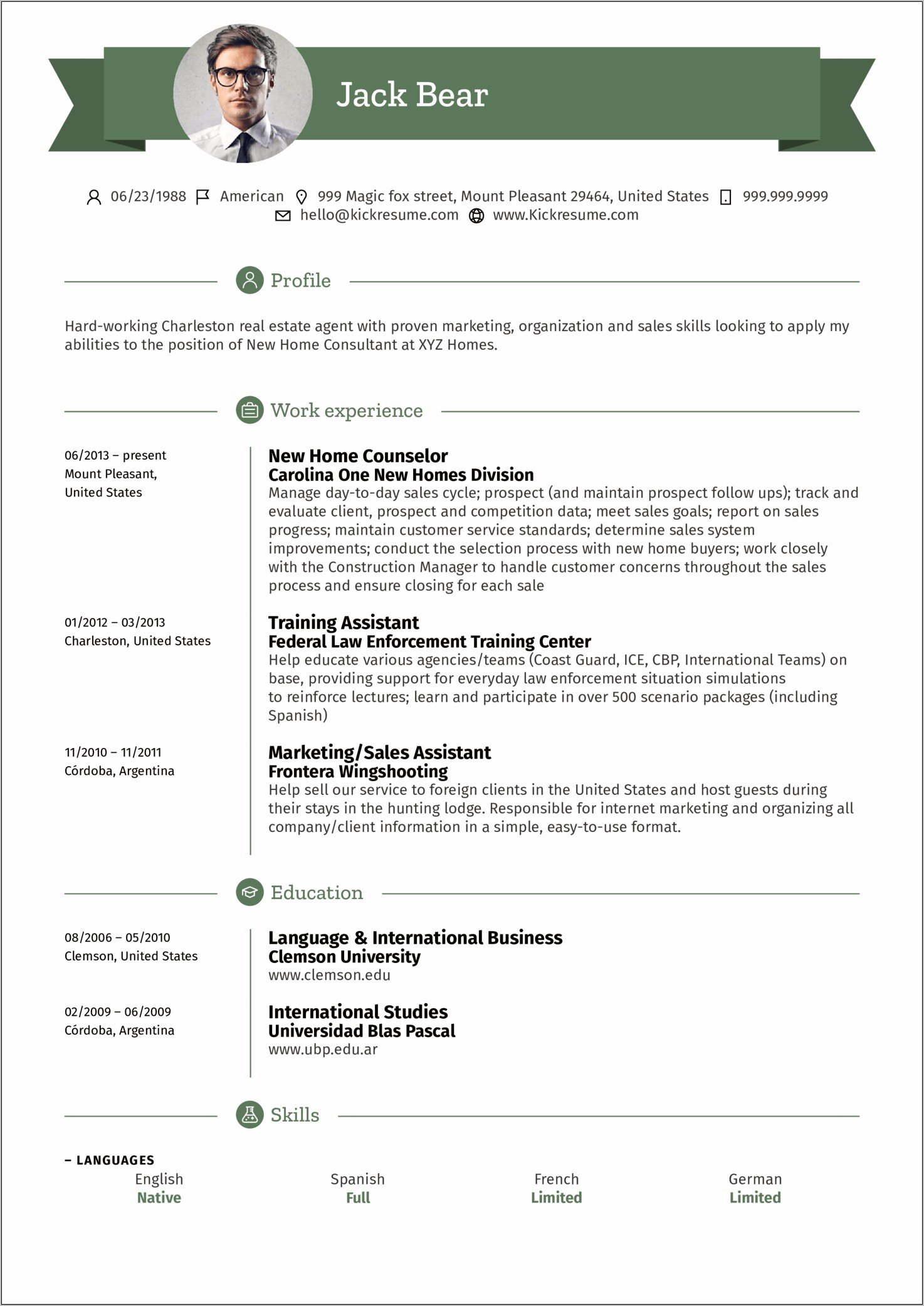 Real Estate Agent Resume Templates Free