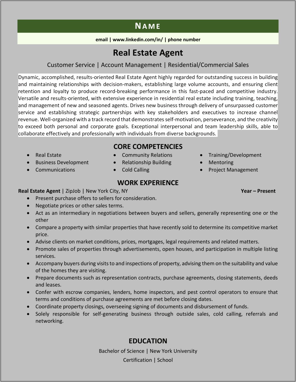 Real Estate Sales Representative Resume Sample