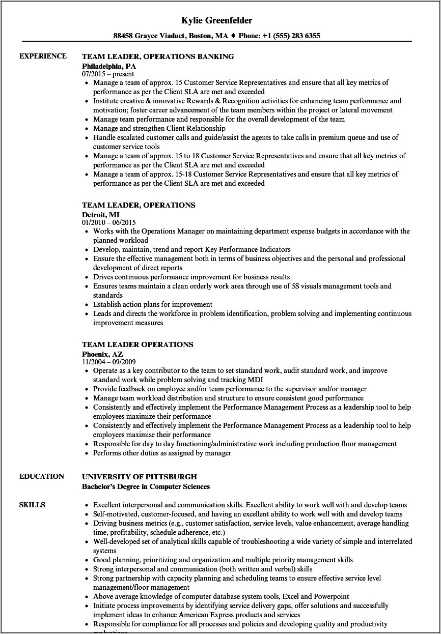 Relevant Experience Or Leadership Experience Resume Header
