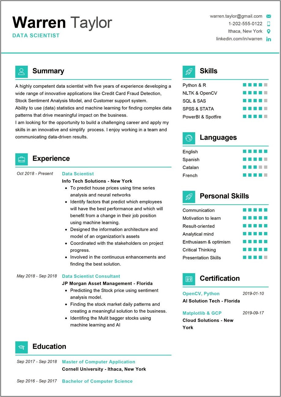 Resume Critical And Analytical Thinking Sample