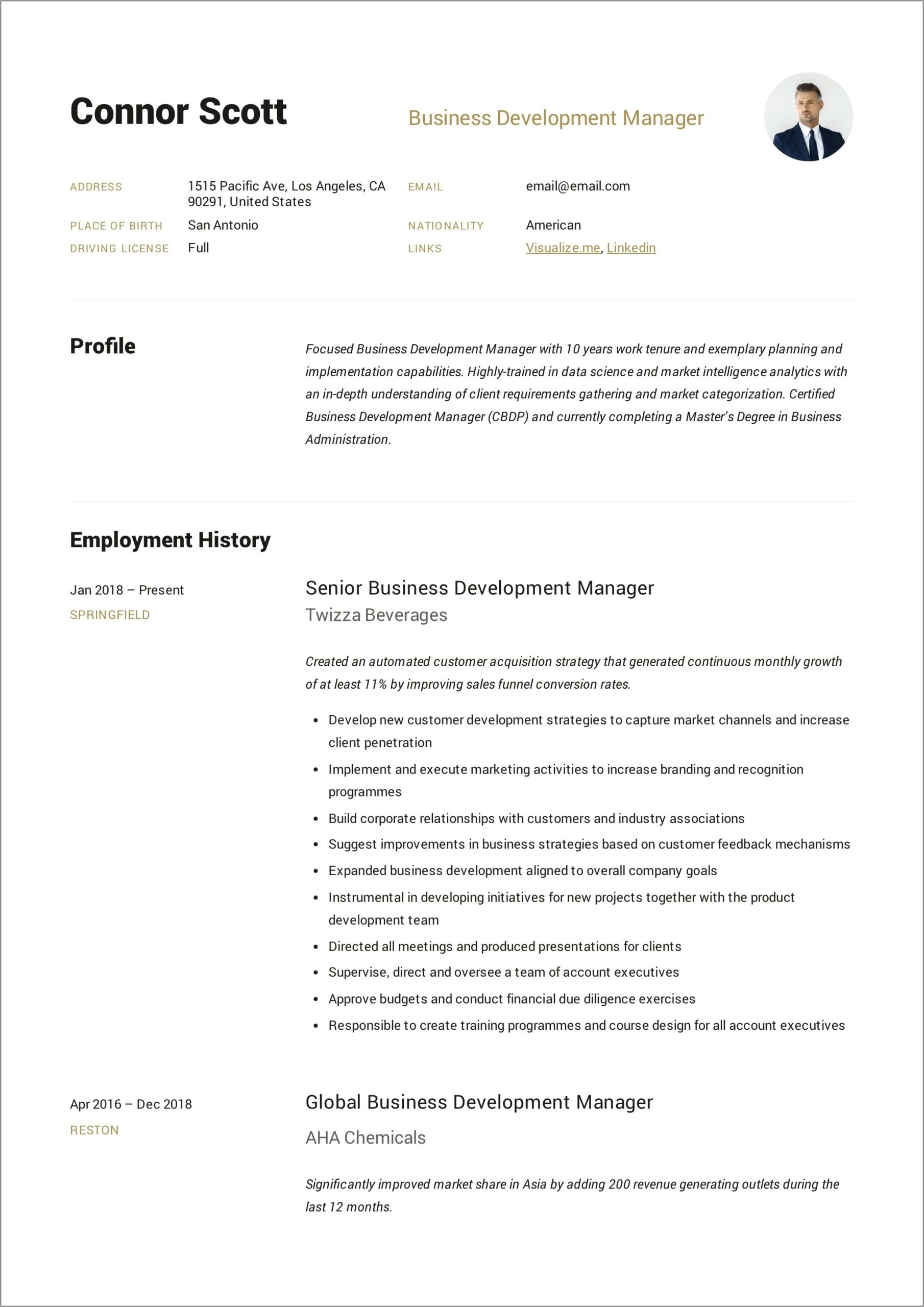 Resume Description For Business Development Specialist