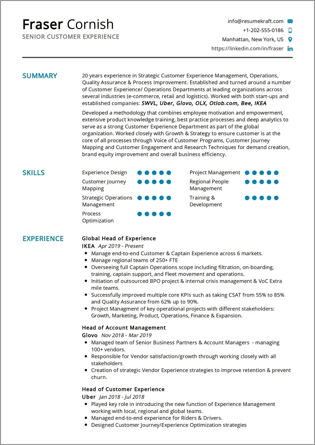 Resume Description For Director Of Client Experience