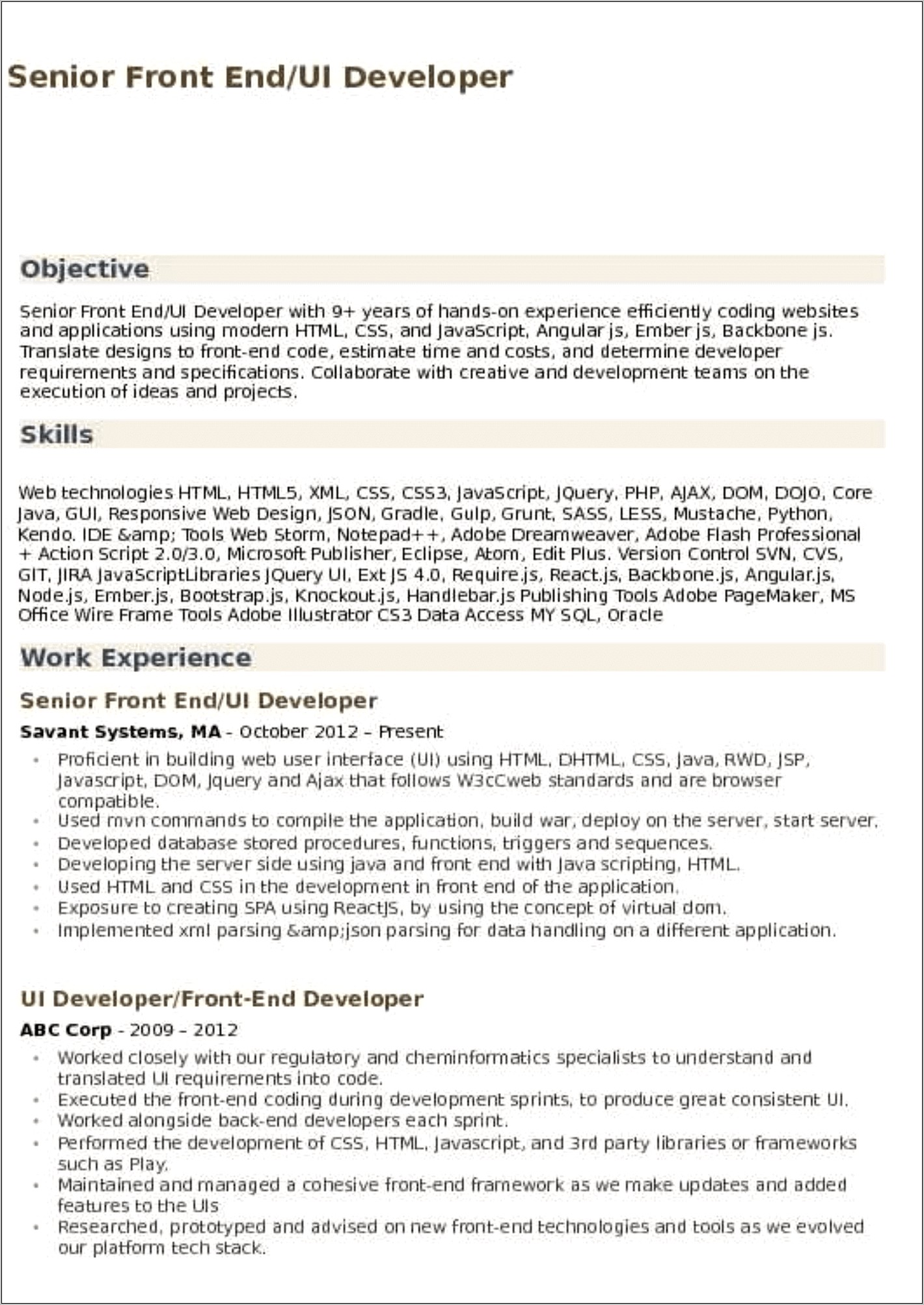 Resume Developer Work Experience Example