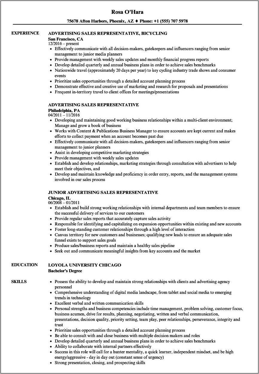 Resume Example For Book Salesman