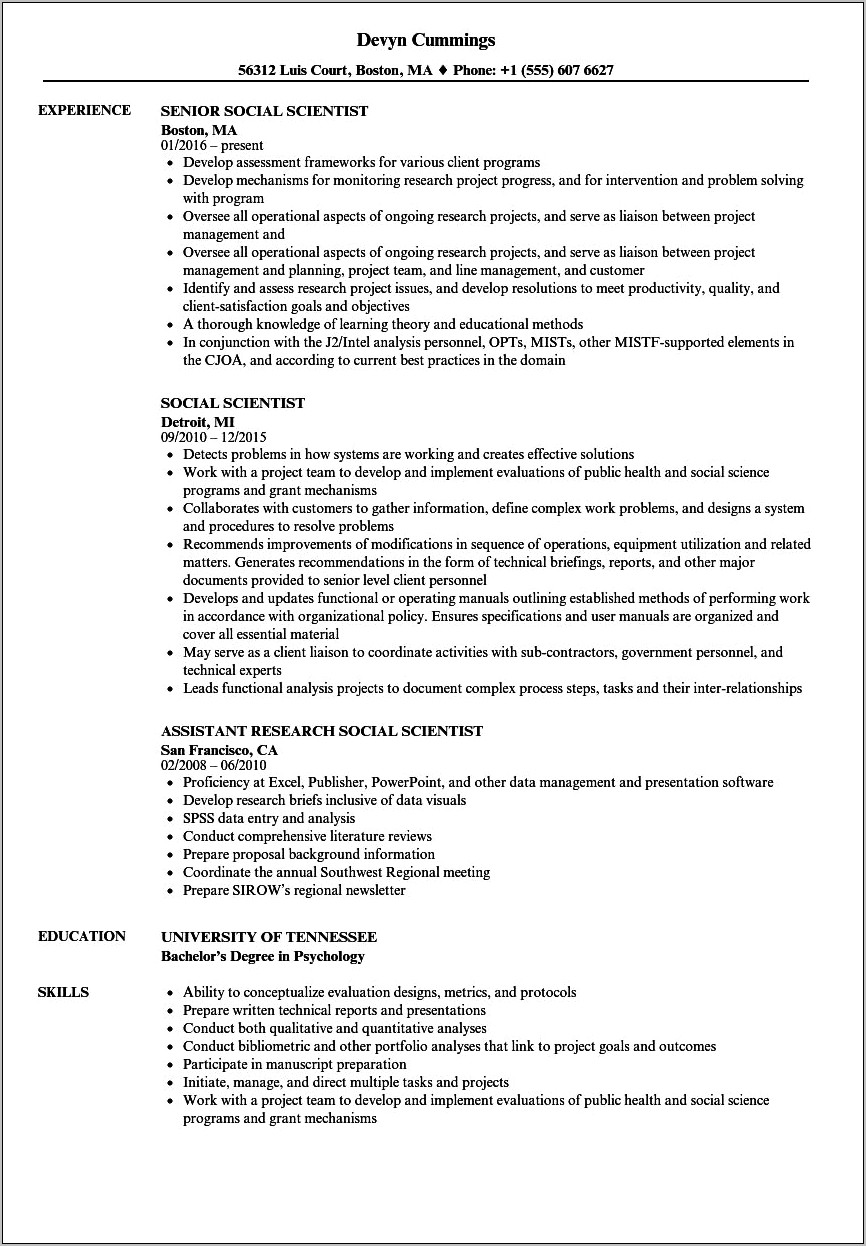 Resume Examples Creative Social Science Research