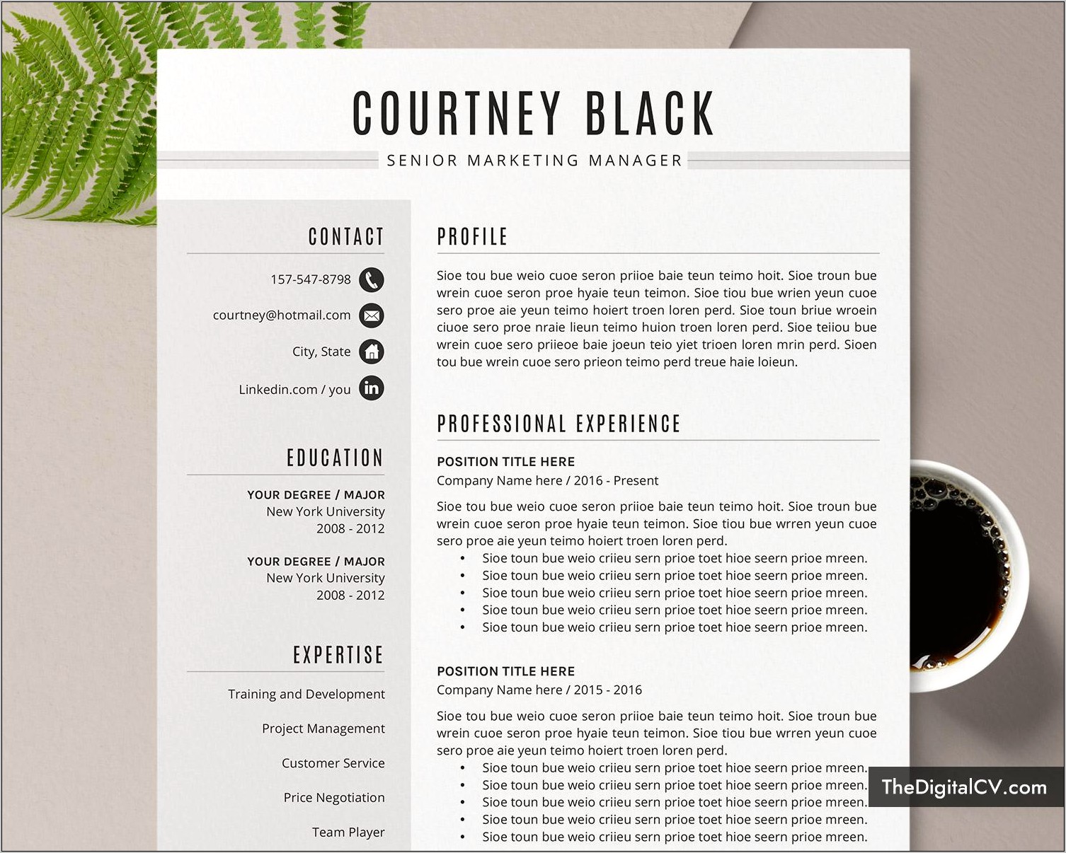 resume-examples-for-customer-service-for-first-job-resume-example-gallery