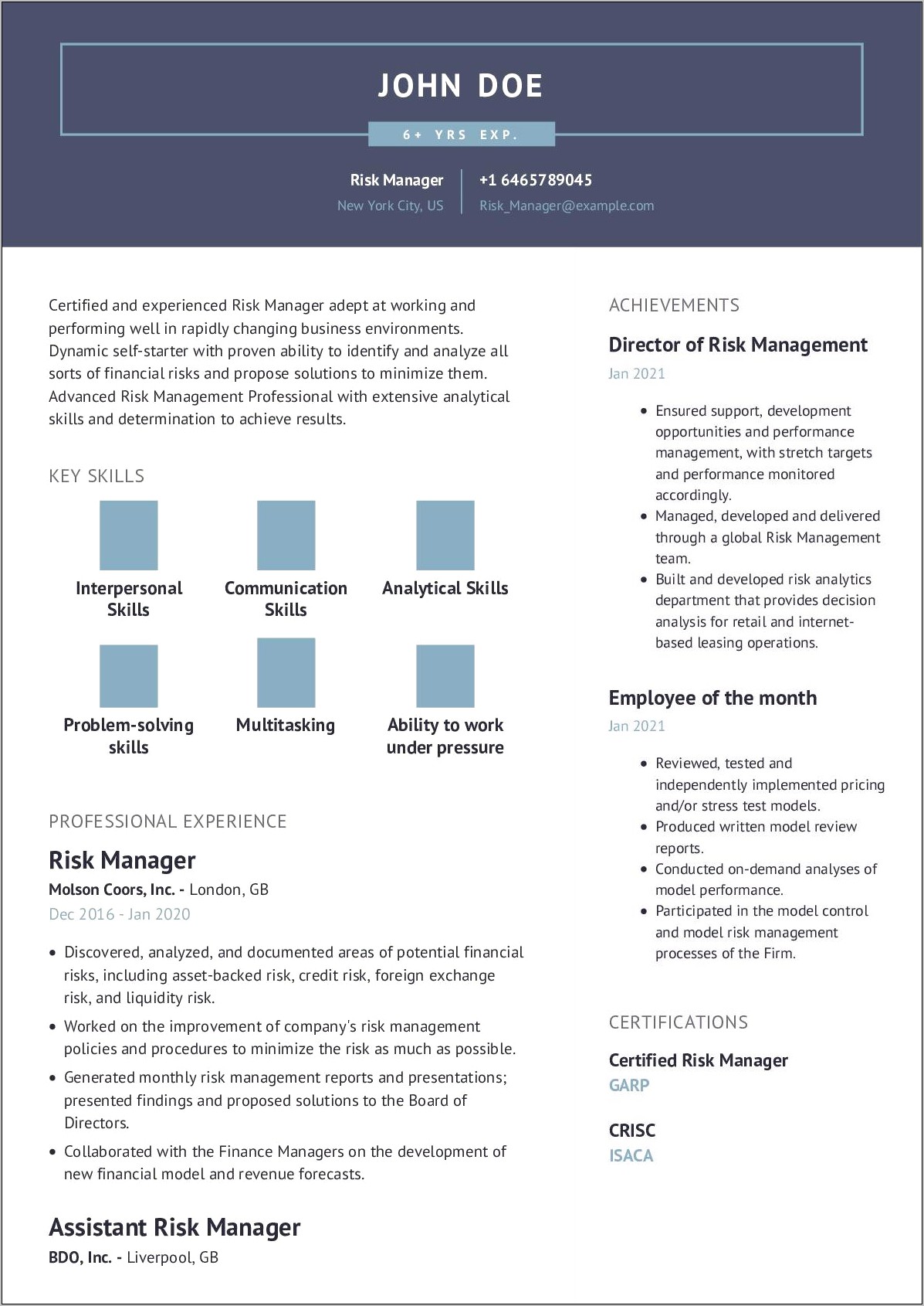 Resume Examples For Risk Analyst