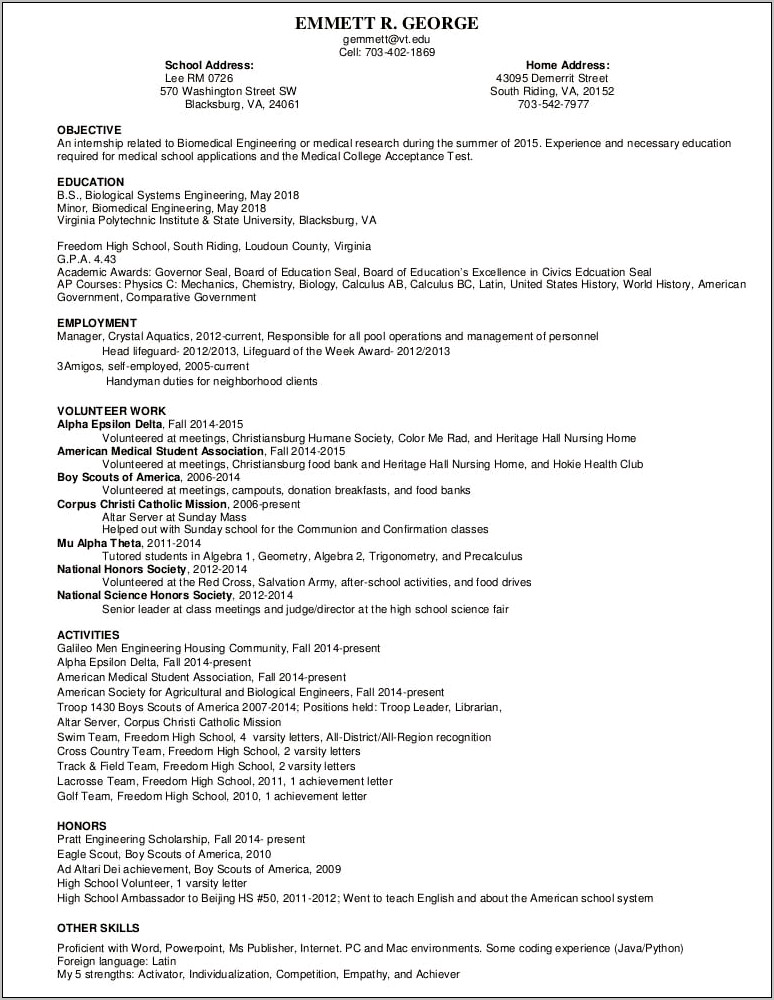 Resume Examples In English To Self Employed