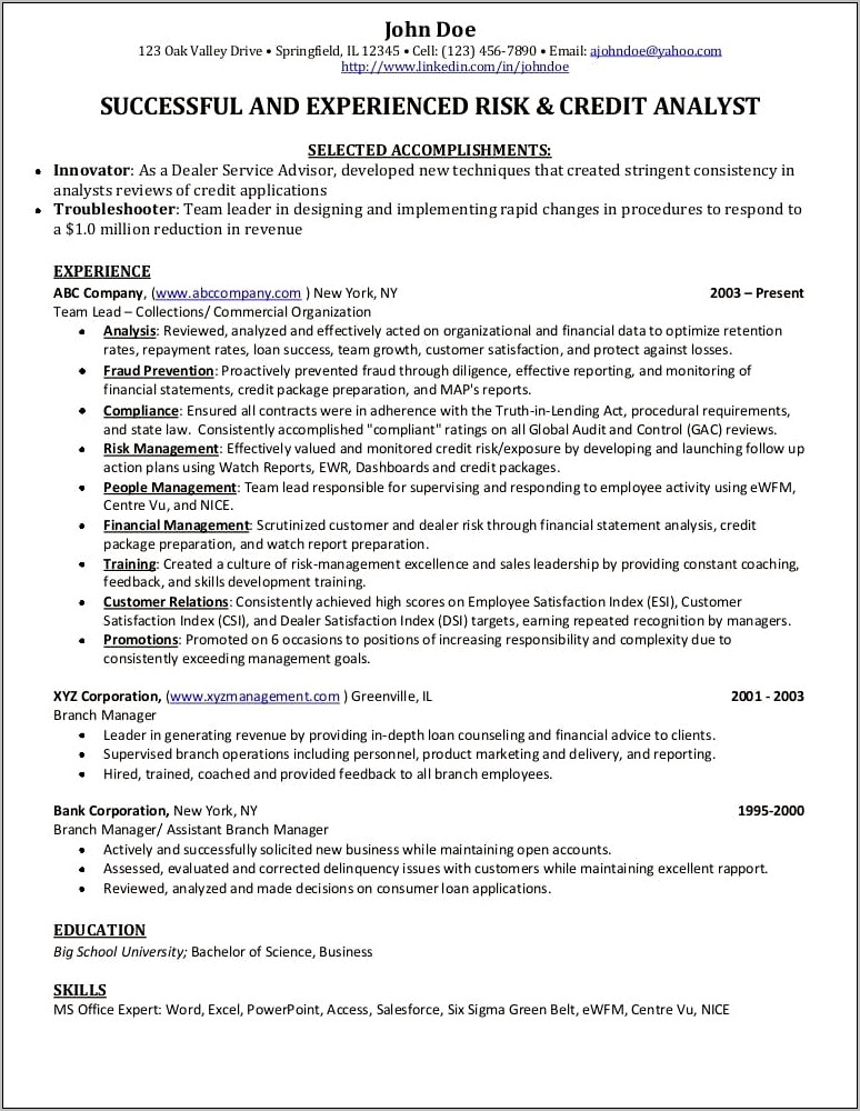 Resume For A Credit Manager