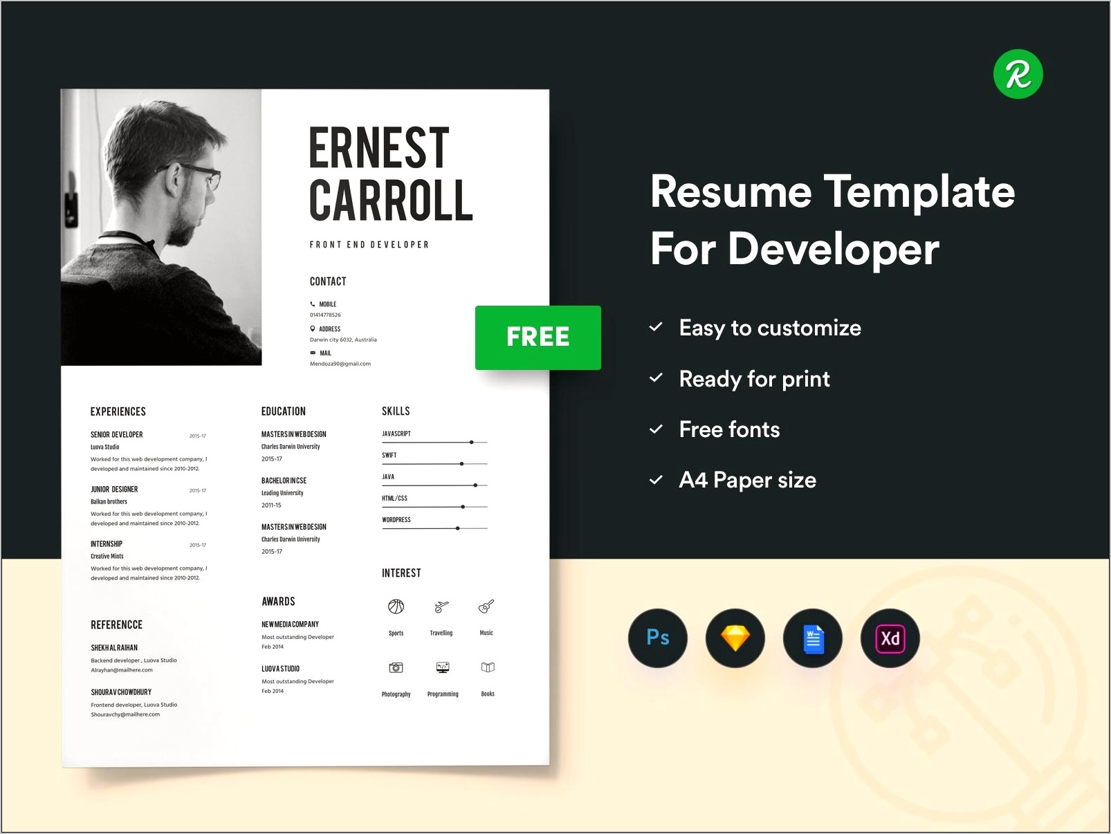 Resume For Freelance Developer Sample