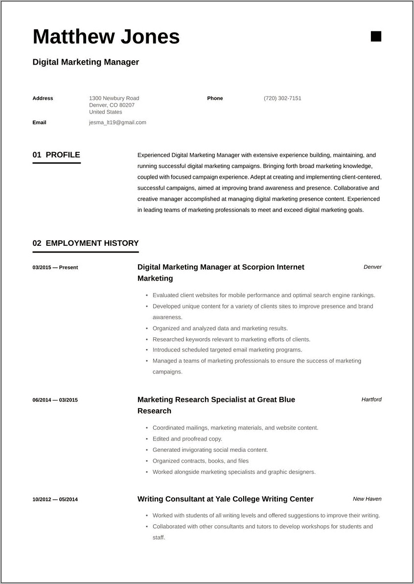 Resume For Marketing Manager In India