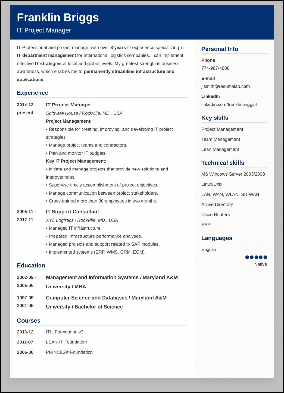 Resume For Online Job Application Sample
