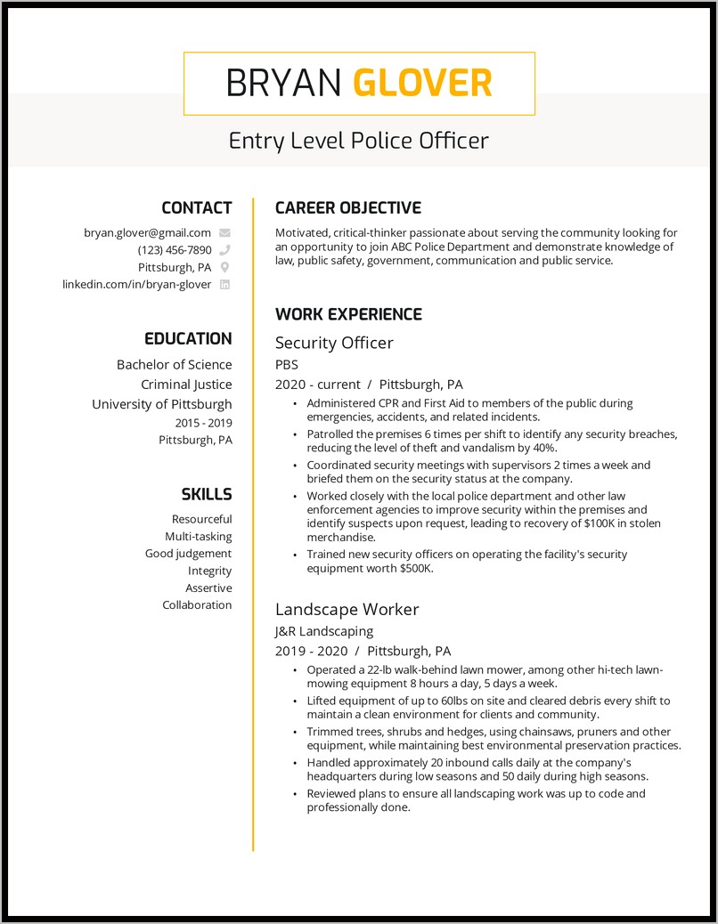 Resume For Police Officer With Experience