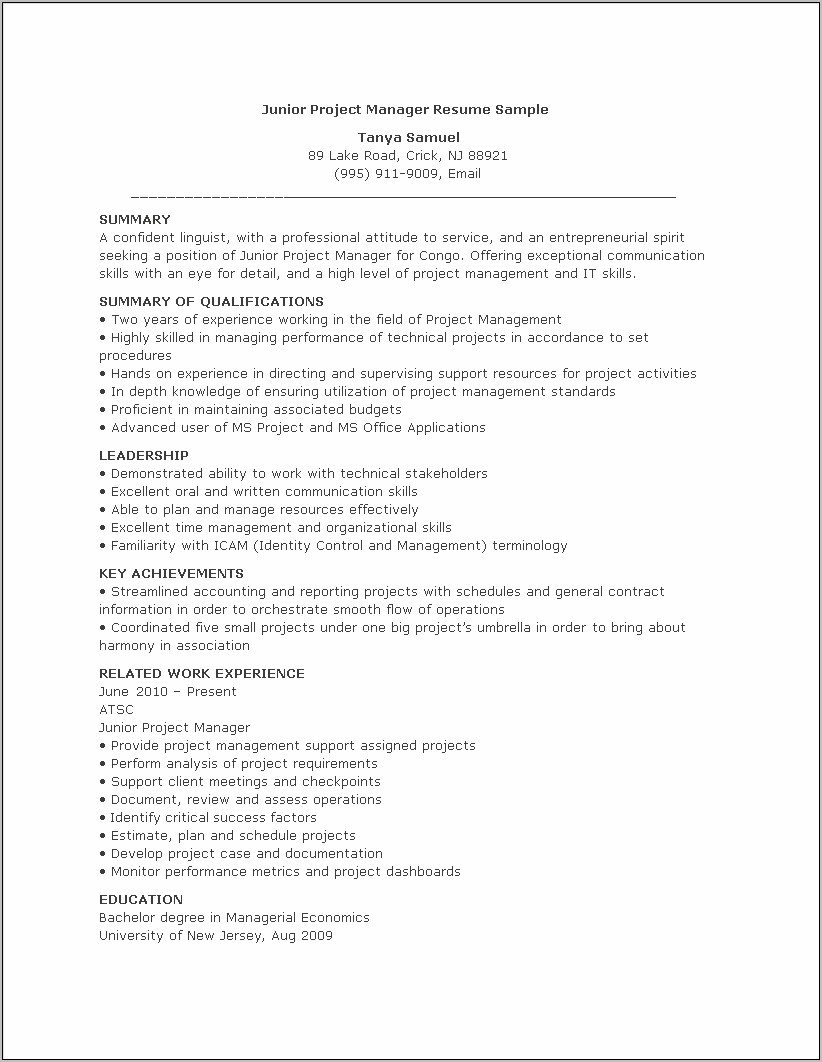 Resume For Project Planning Manager