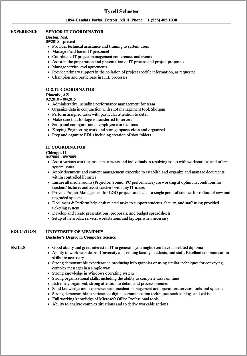 Resume Format For Ngo Sector Job