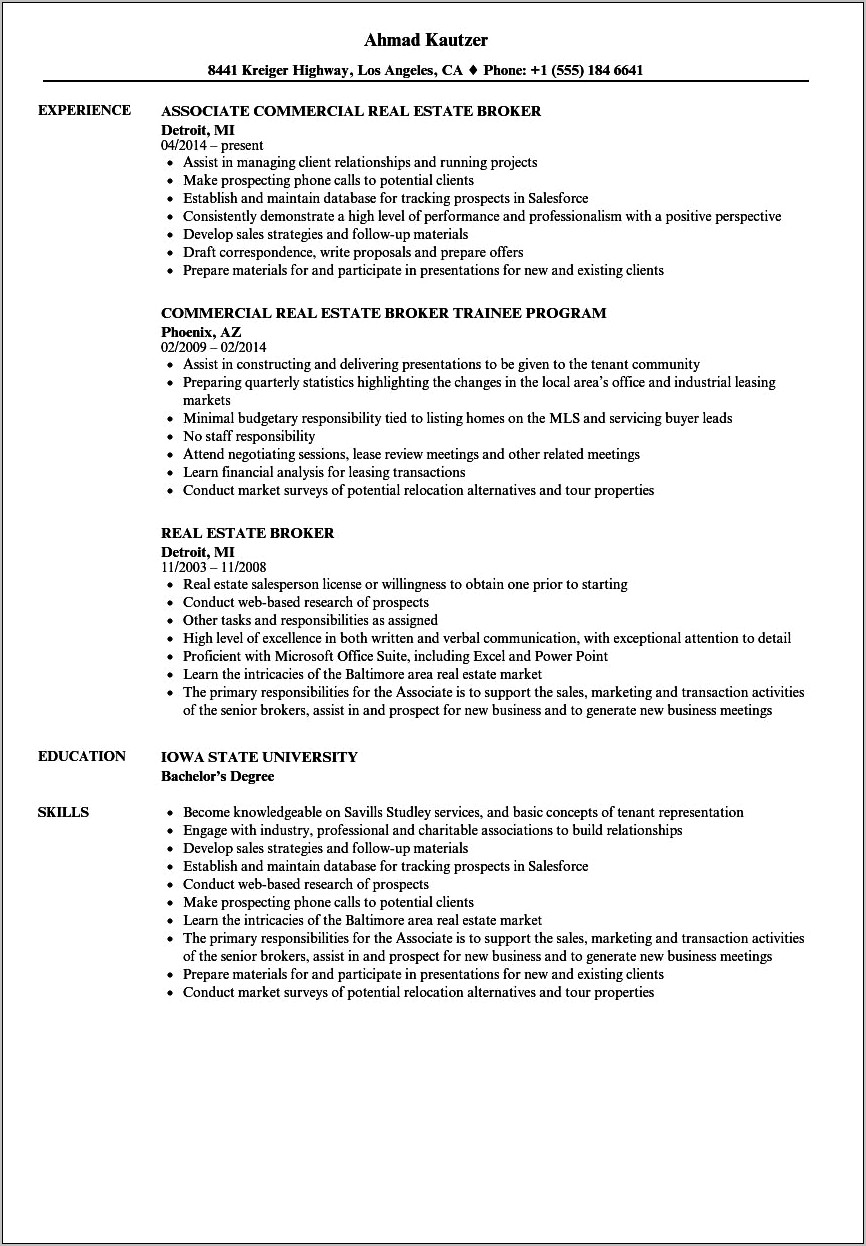 Resume Format For Real Estate Sales Manager India
