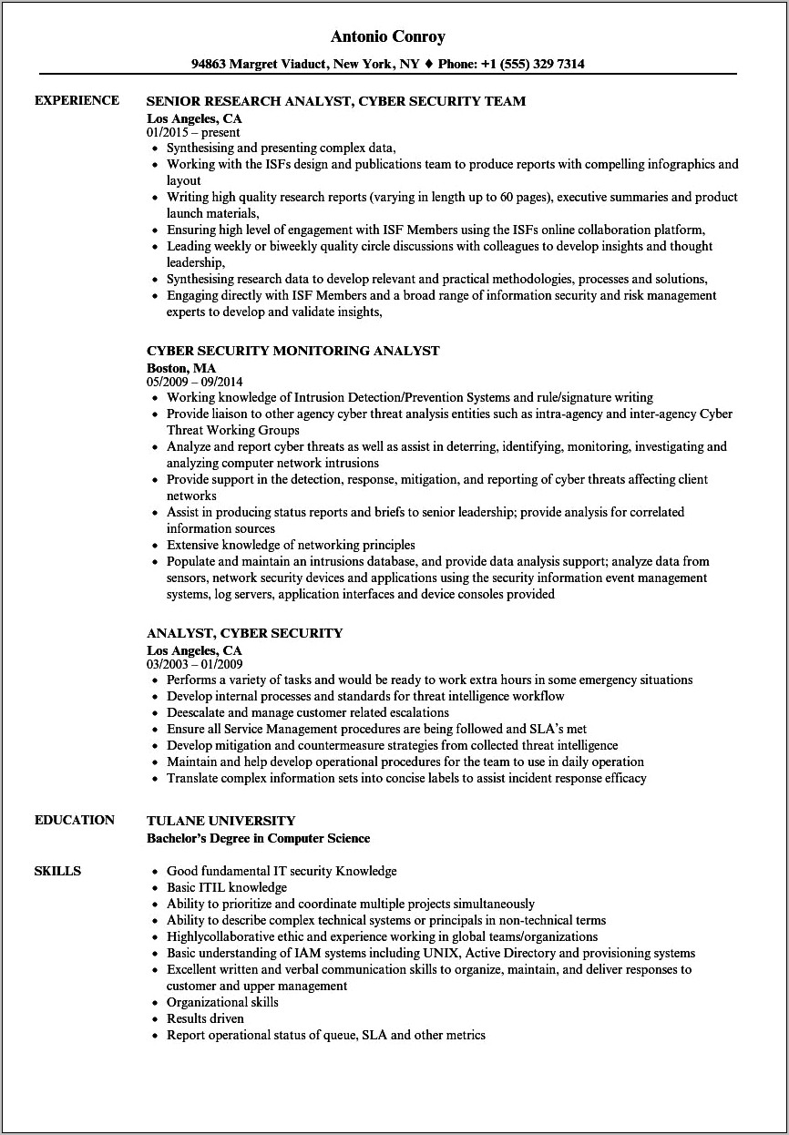 Resume Job Examples Real Information Security