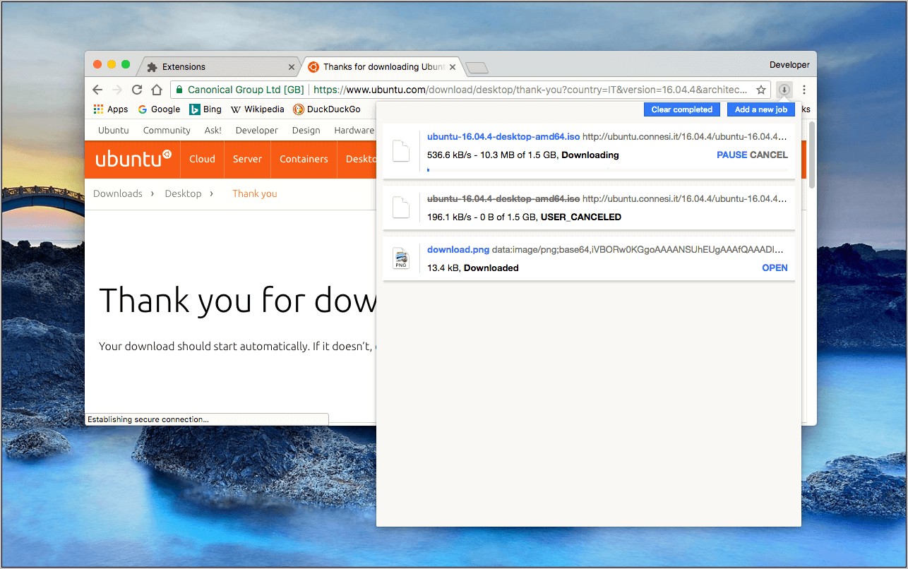 Resume Netwwork Error Chrome Extension Doanload Manager