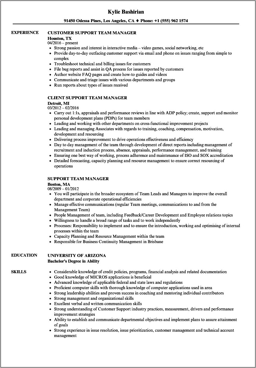 Resume Objective Of Epic Team Lead Application