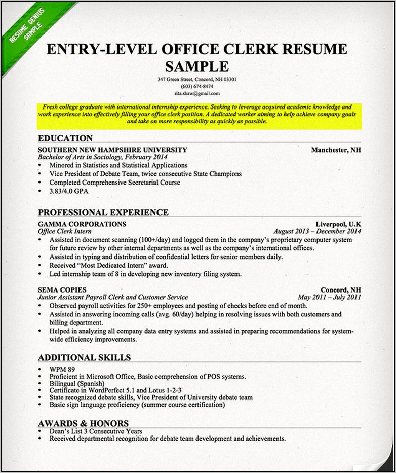 Resume Objective Statement Entry Level Development