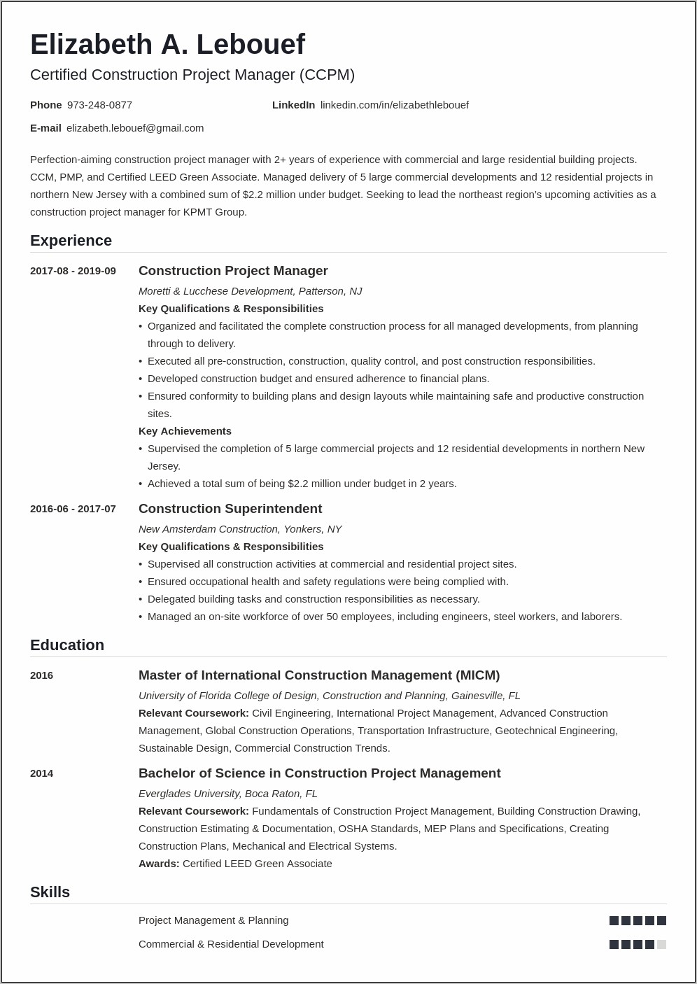 Resume Objective Statement Examples Project Management